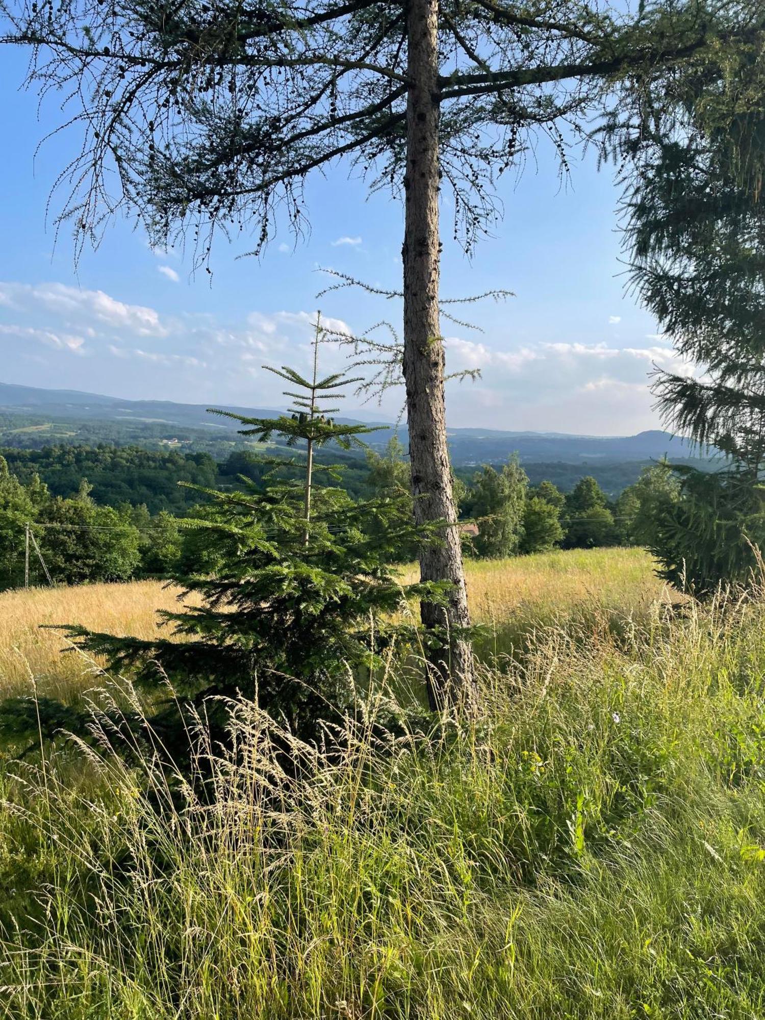Wioska Jasia I Malgosi Izdebnik Buitenkant foto